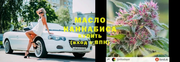 дмт Няндома