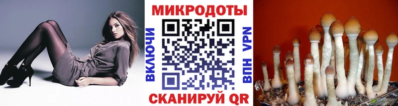 Псилоцибиновые грибы Magic Shrooms дарнет шоп Алзамай